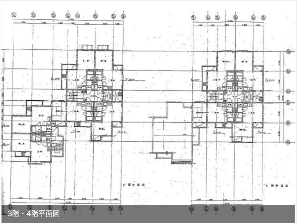 の画像(3枚目)です