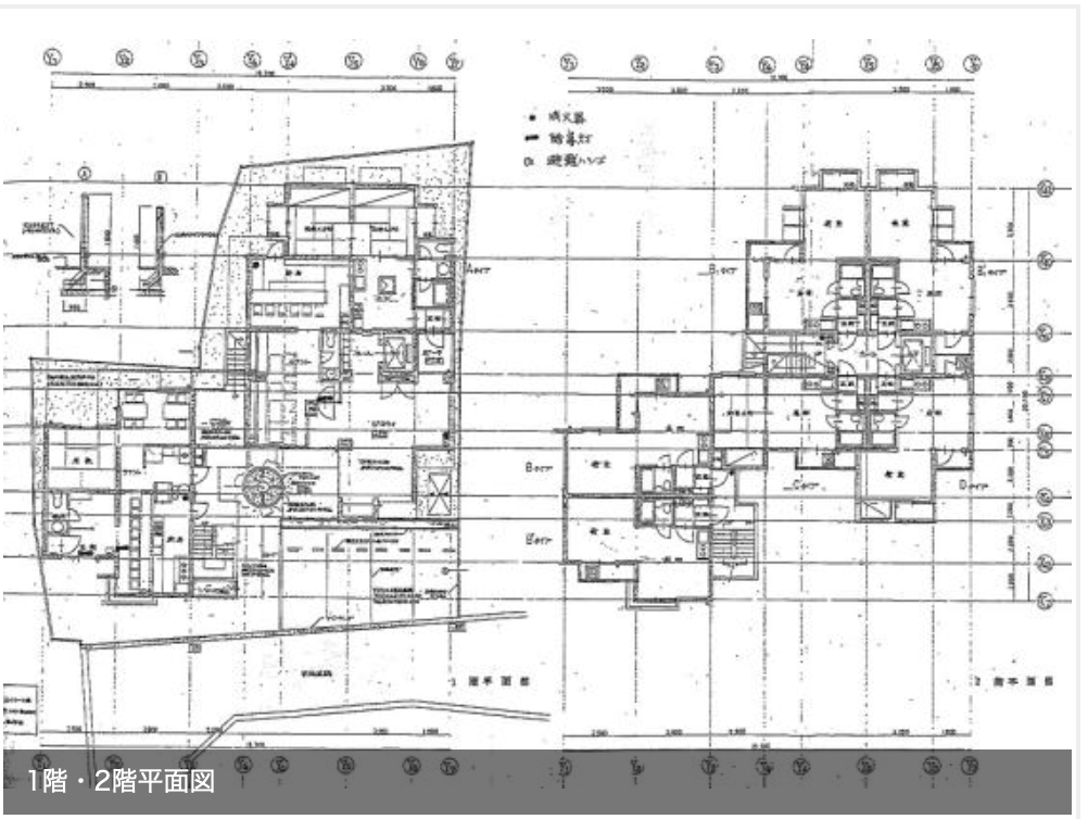 の画像(2枚目)です